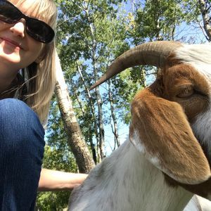 Meet your Posher, Lorraine